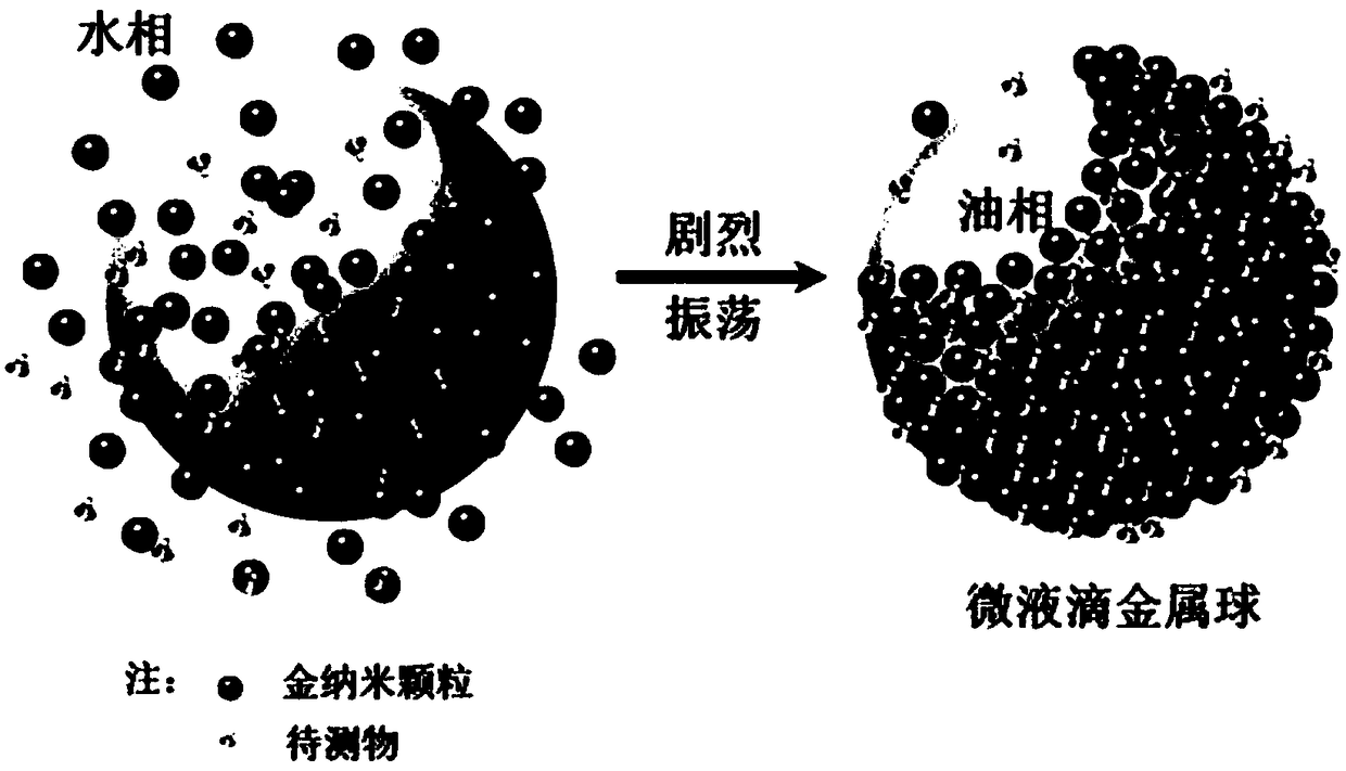 Capillary micro-droplet metal ball detection method for surface enhanced Raman spectrum