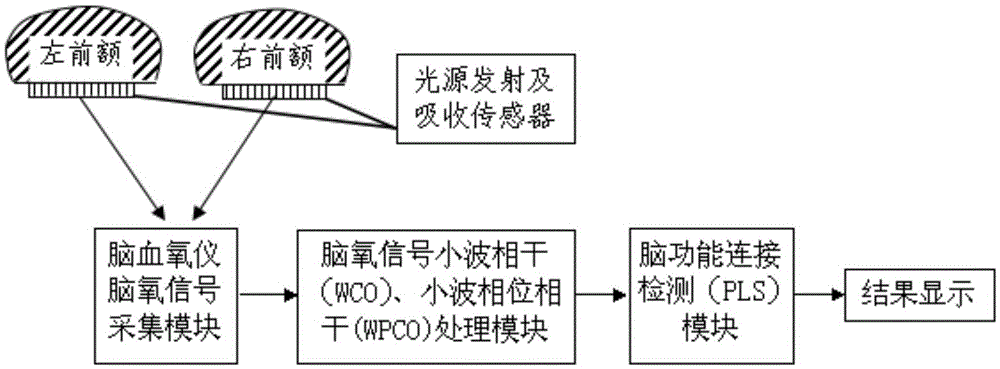 Brain functional connection detection method and system based on near-infrared spectroscopy