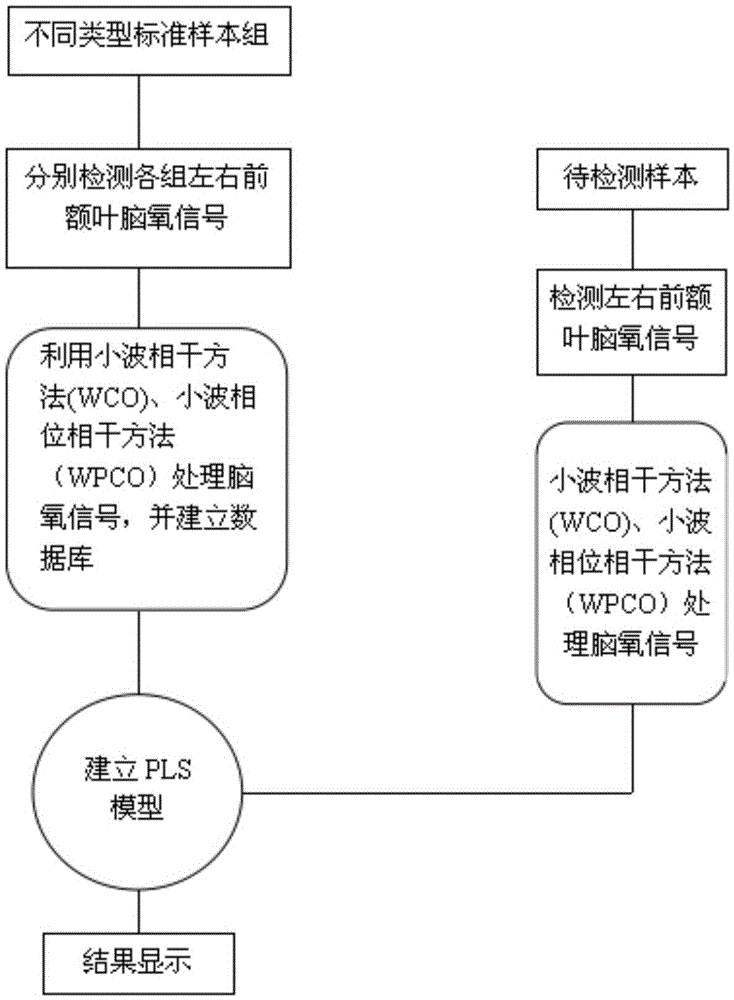 Brain functional connection detection method and system based on near-infrared spectroscopy