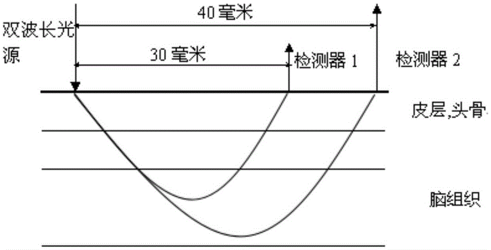 Brain functional connection detection method and system based on near-infrared spectroscopy