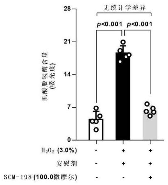 Application of leonurine to prevention of acute liver injury and promotion of repair and regeneration of liver tissue