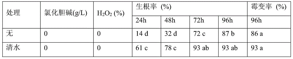 An optimized treatment method for alleviating the degradation of garlic seeds