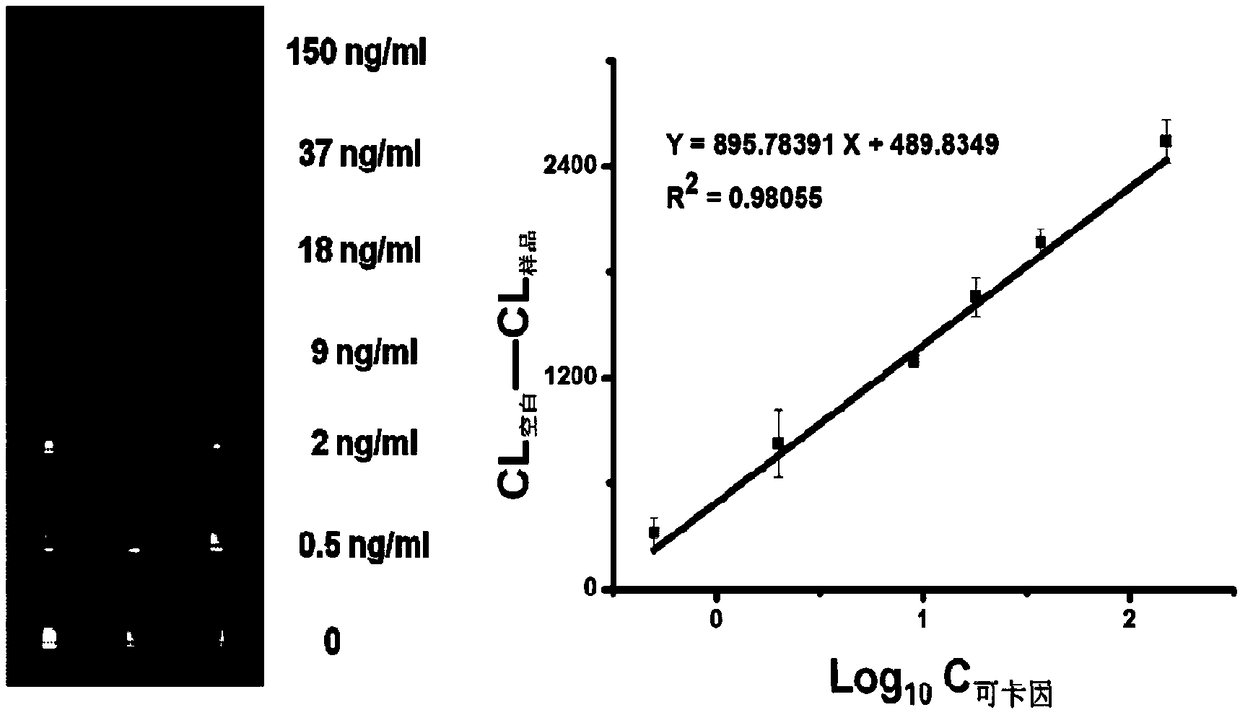 Microfluidics immune chip analysis method based on magnetic particle nano-enzyme, and application