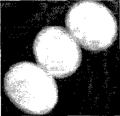 Device and method for counting overlapped circular particulate matter