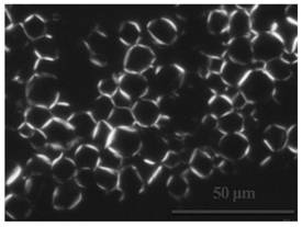 A drug-loaded emulsion of a liquid crystal-coated crystalline drug and a preparation method thereof