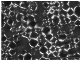 A drug-loaded emulsion of a liquid crystal-coated crystalline drug and a preparation method thereof