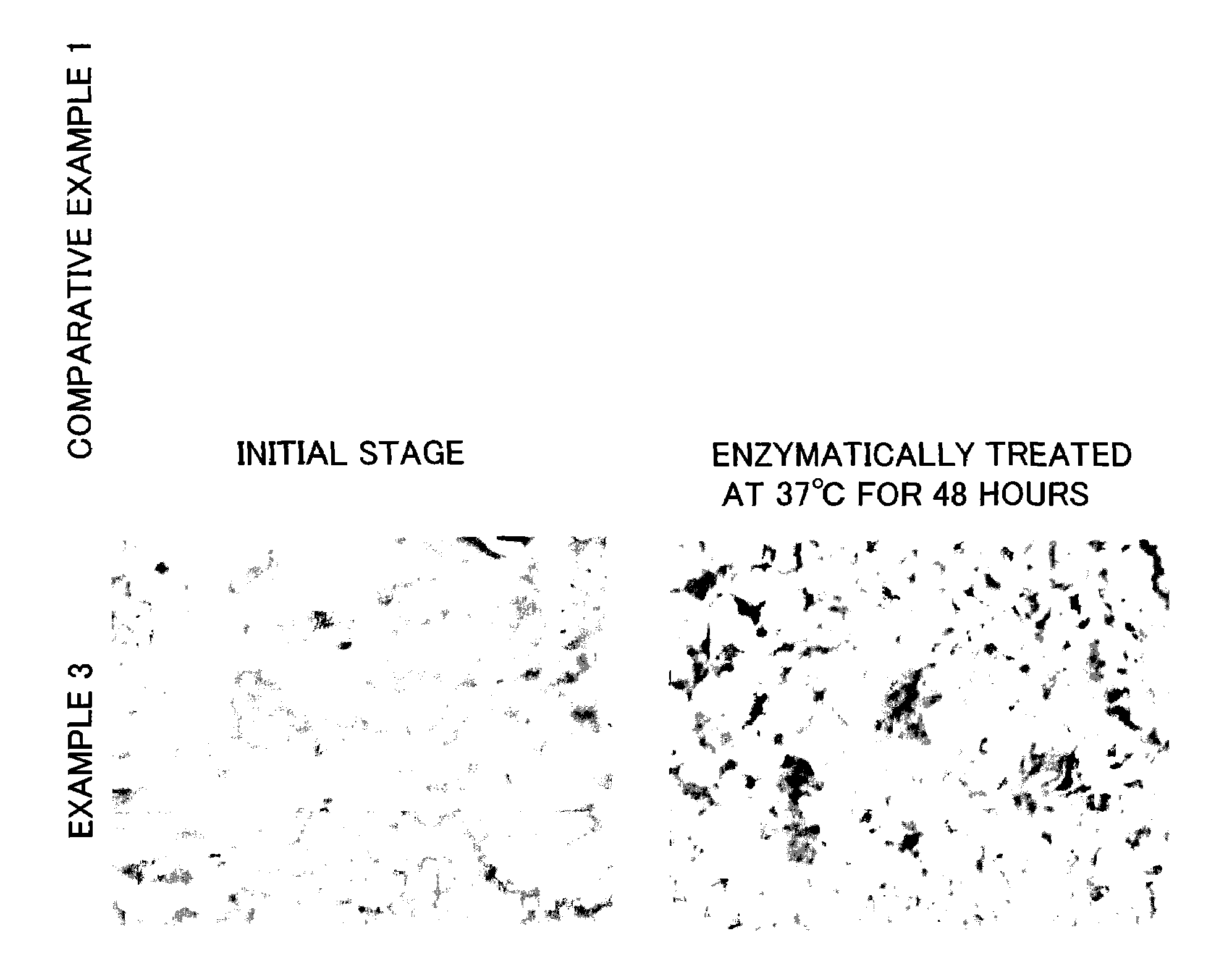 Readily degradable resin composition and biodegradable container using the same