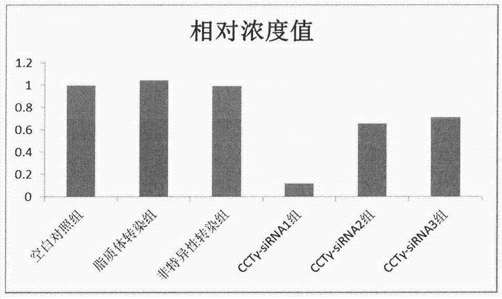 Application of chaperonin CCTgamma in preparation of tumour diagnosis reagent