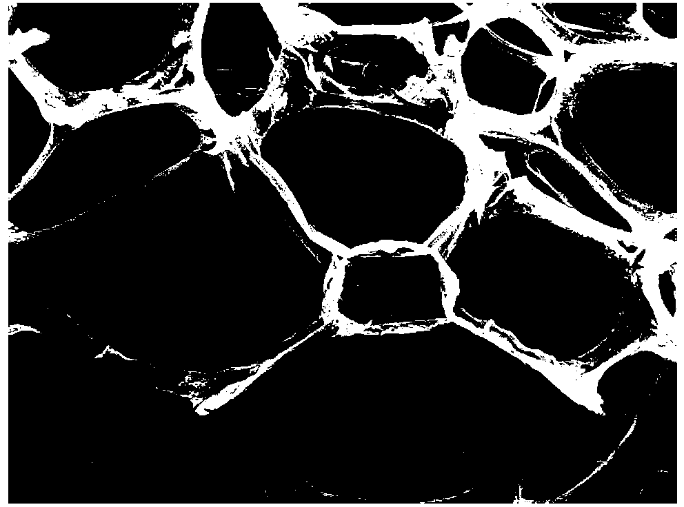 Preparation method of three-dimensional hollow ultralight structure carbon material and magnetic carbon composite material