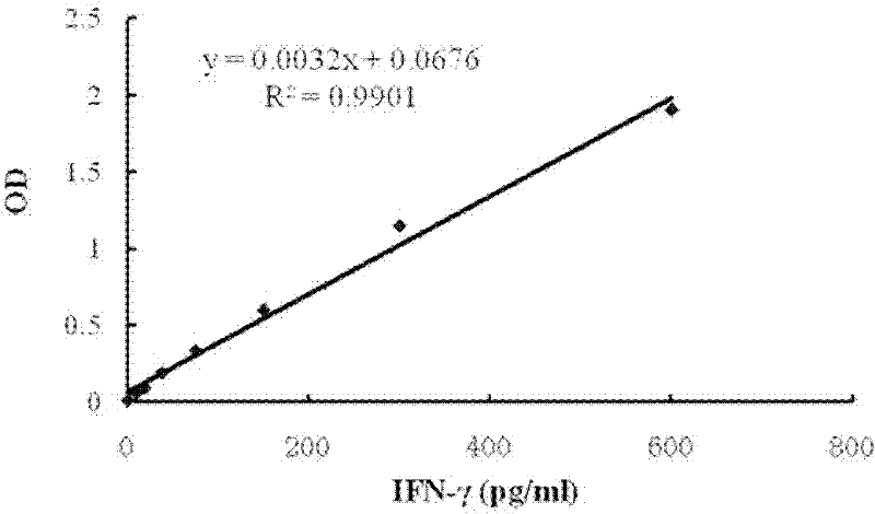 Application of Brucella GroEL protein and method for recombinant expression of Brucella GroEL protein