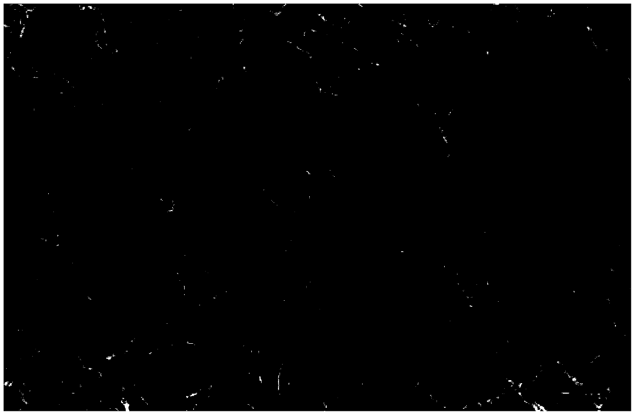 Preparation method for glucan bioseparation and purification medium