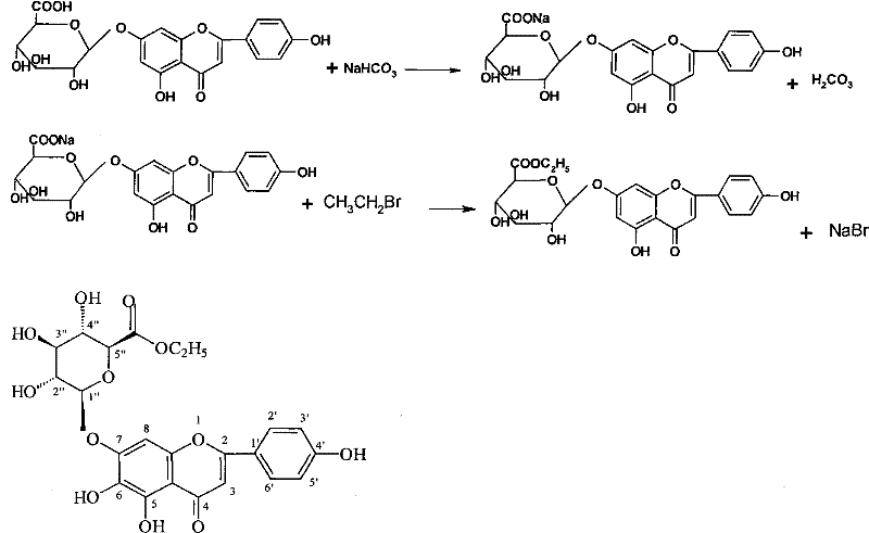 New application of scutellarin and derivatives thereof