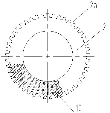 Spline lubricating structure