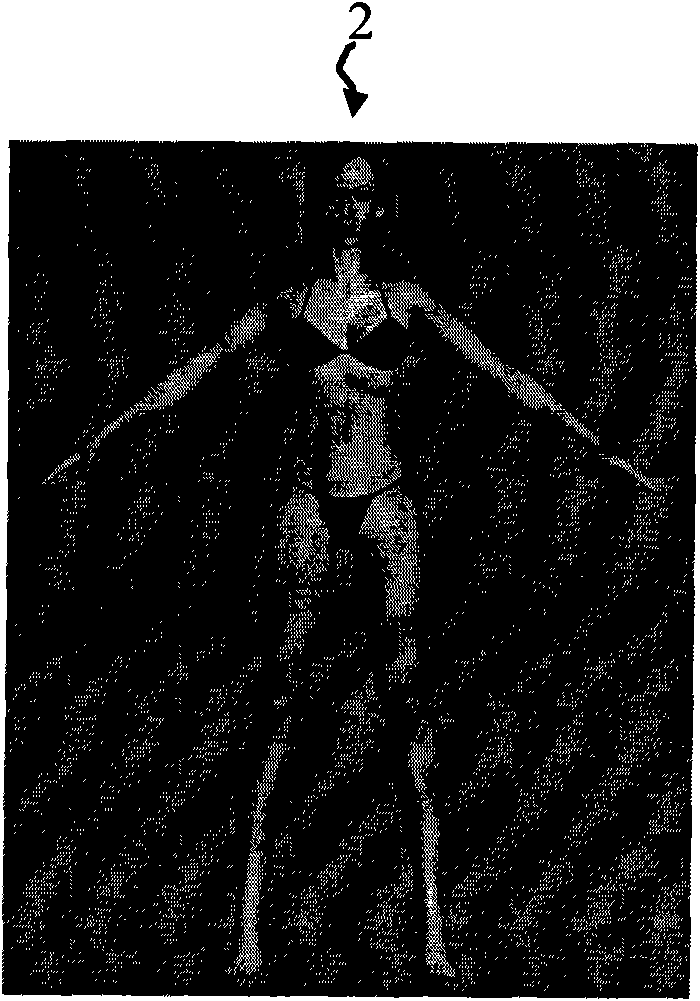 Terminal try-on simulation system and method for generating try-on image