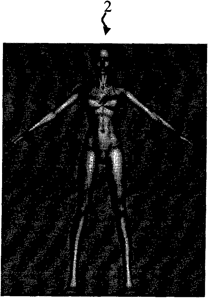 Terminal try-on simulation system and method for generating try-on image