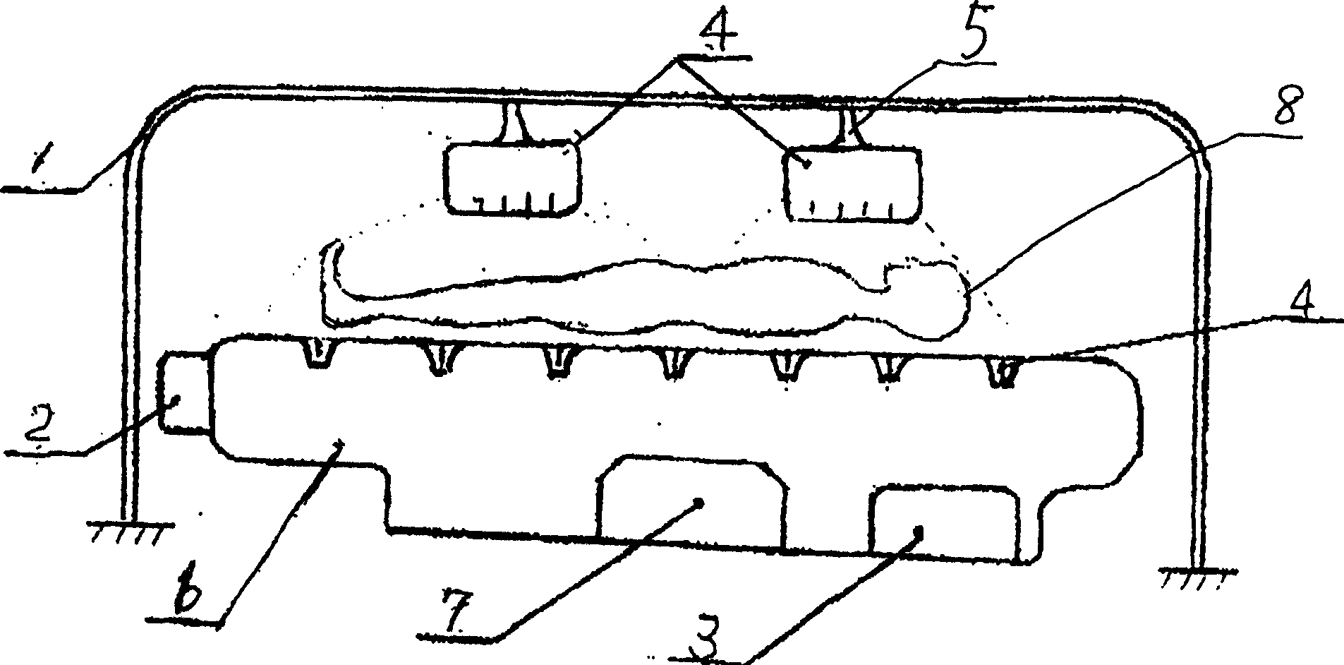 Biological electric wound therapeutical devices