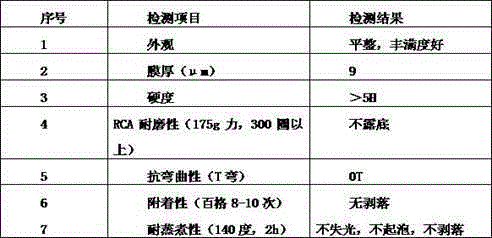 Heat resisting coating and preparation method thereof