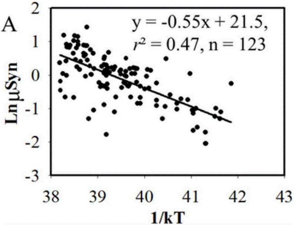 Method for estimating fixed carbon content of ocean ultra-miniature phytoplankton