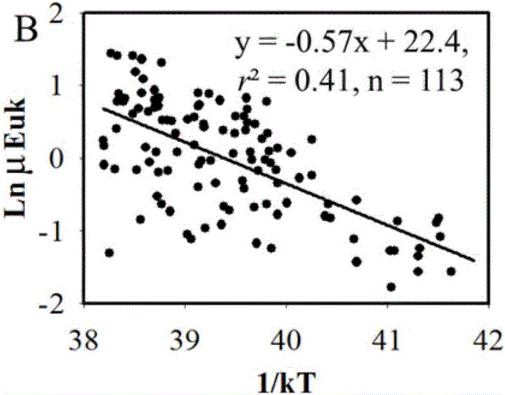 Method for estimating fixed carbon content of ocean ultra-miniature phytoplankton