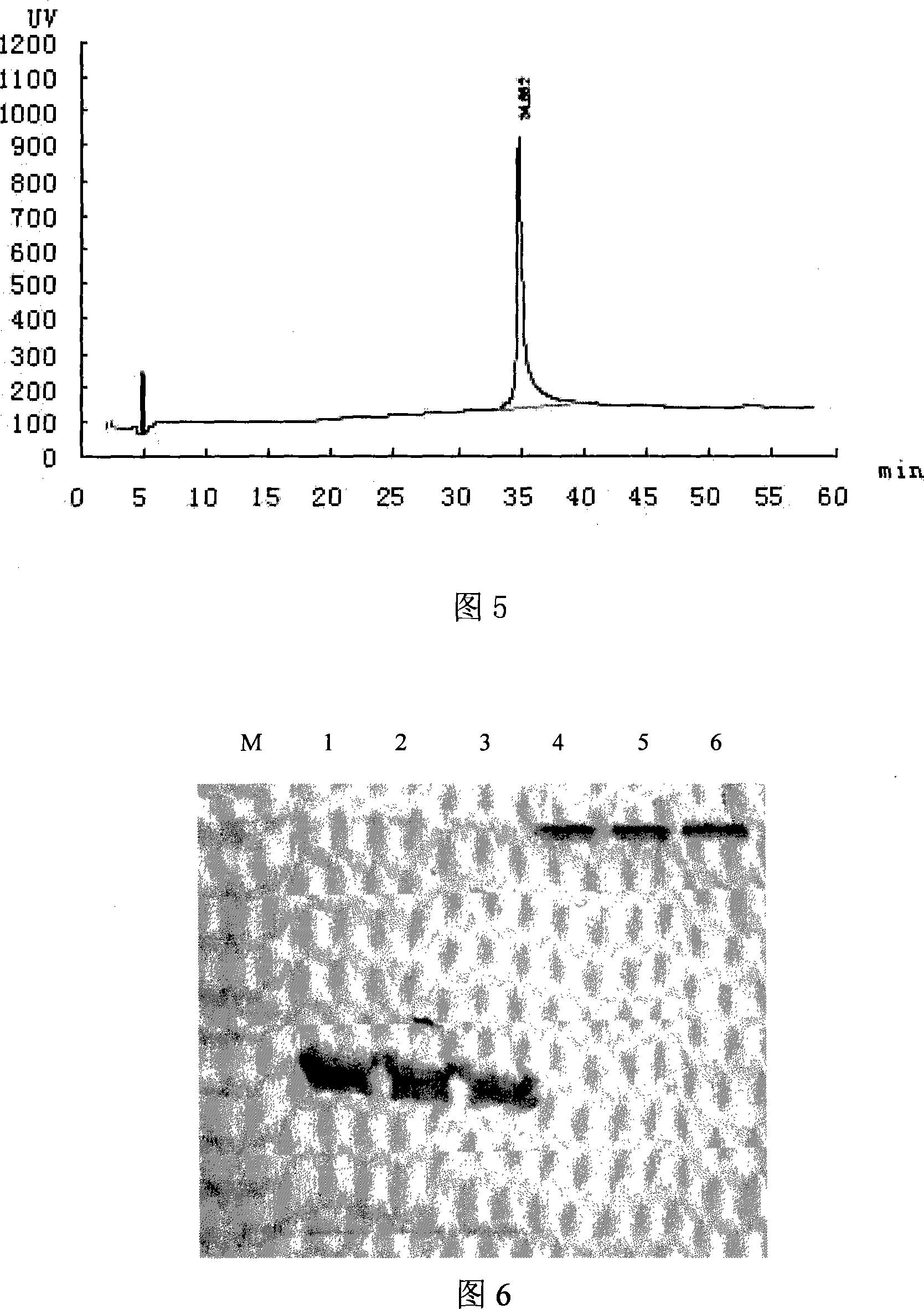 Method for preparing enzyme of dissolving staphylococcal bacteria, its derivative, and method for preparing the derivative