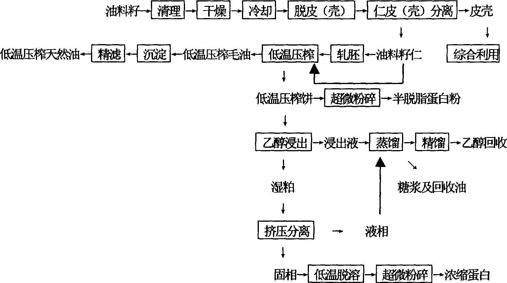 Low temperature oil preparation and protein in oil-bearing materials preparation method