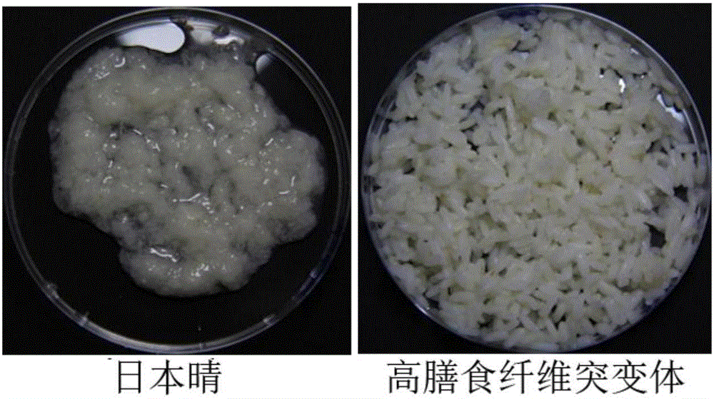 Method for rapidly determining high dietary fiber rice