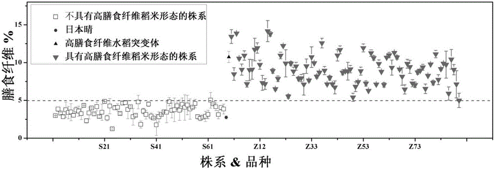 Method for rapidly determining high dietary fiber rice