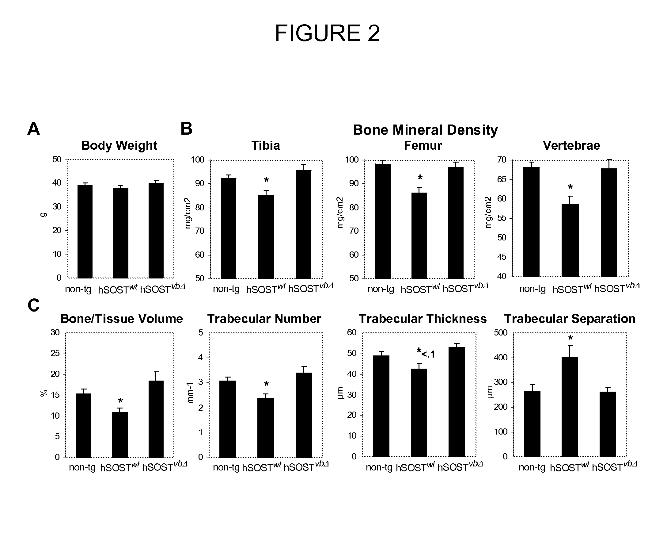 Compositions and methods for altering bone density and bone patterning