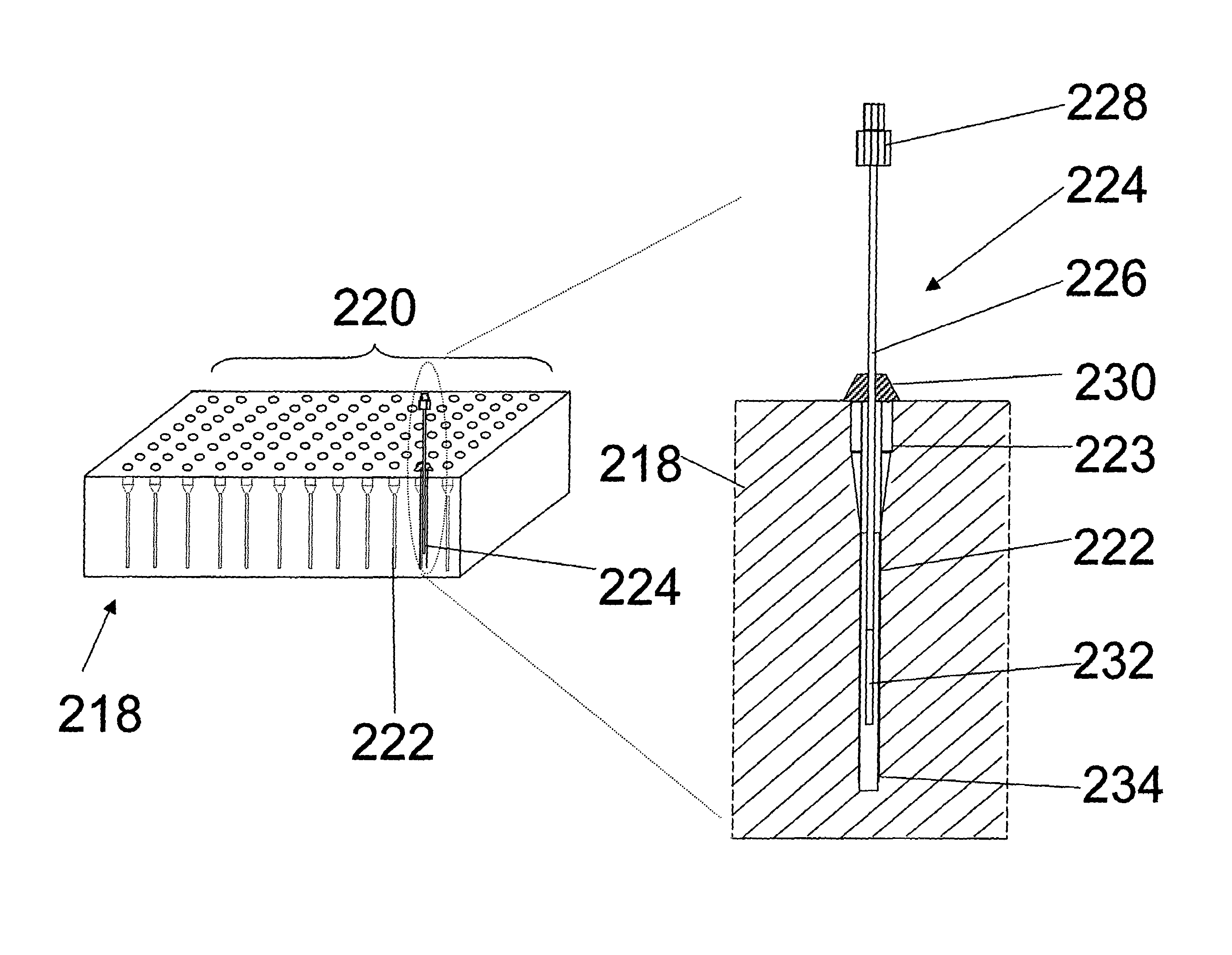 Calibration procedure for investigating biological systems