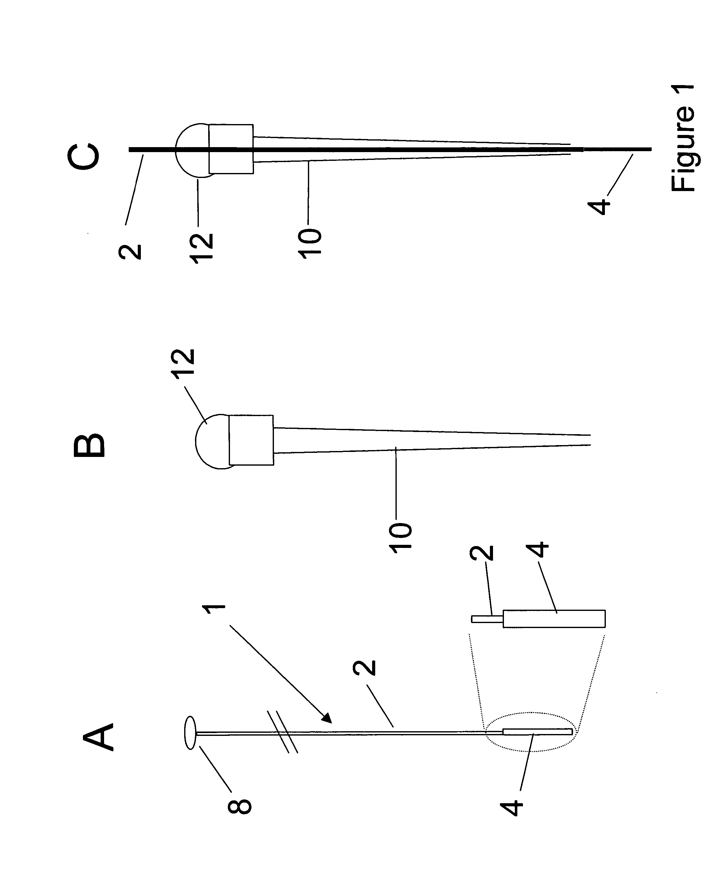 Calibration procedure for investigating biological systems