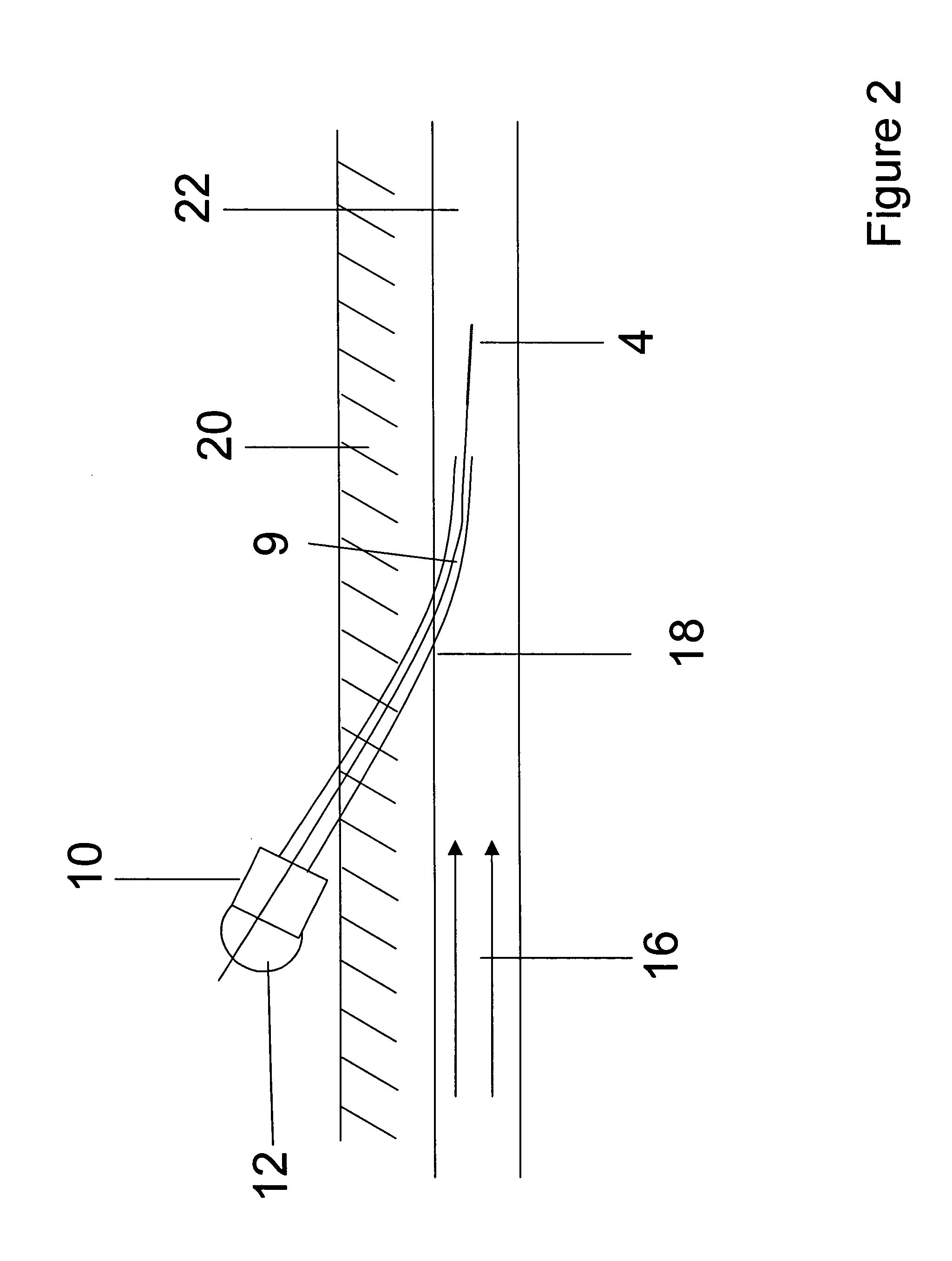 Calibration procedure for investigating biological systems