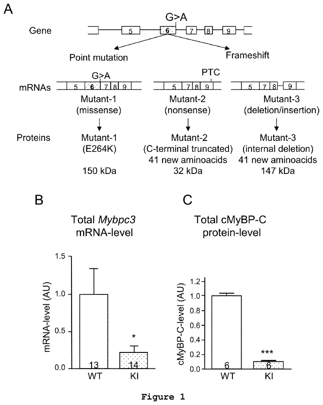 Gene-therapy vectors for treating cardiomyopathy