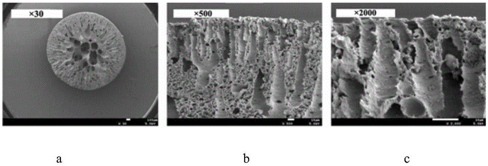 Aminated poly-glycidyl methacrylate crosslinked composite microsphere and preparation method as well as application thereof