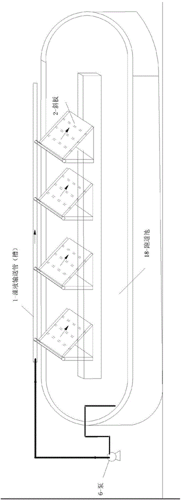 Overflow tilting novel microalgae culture system