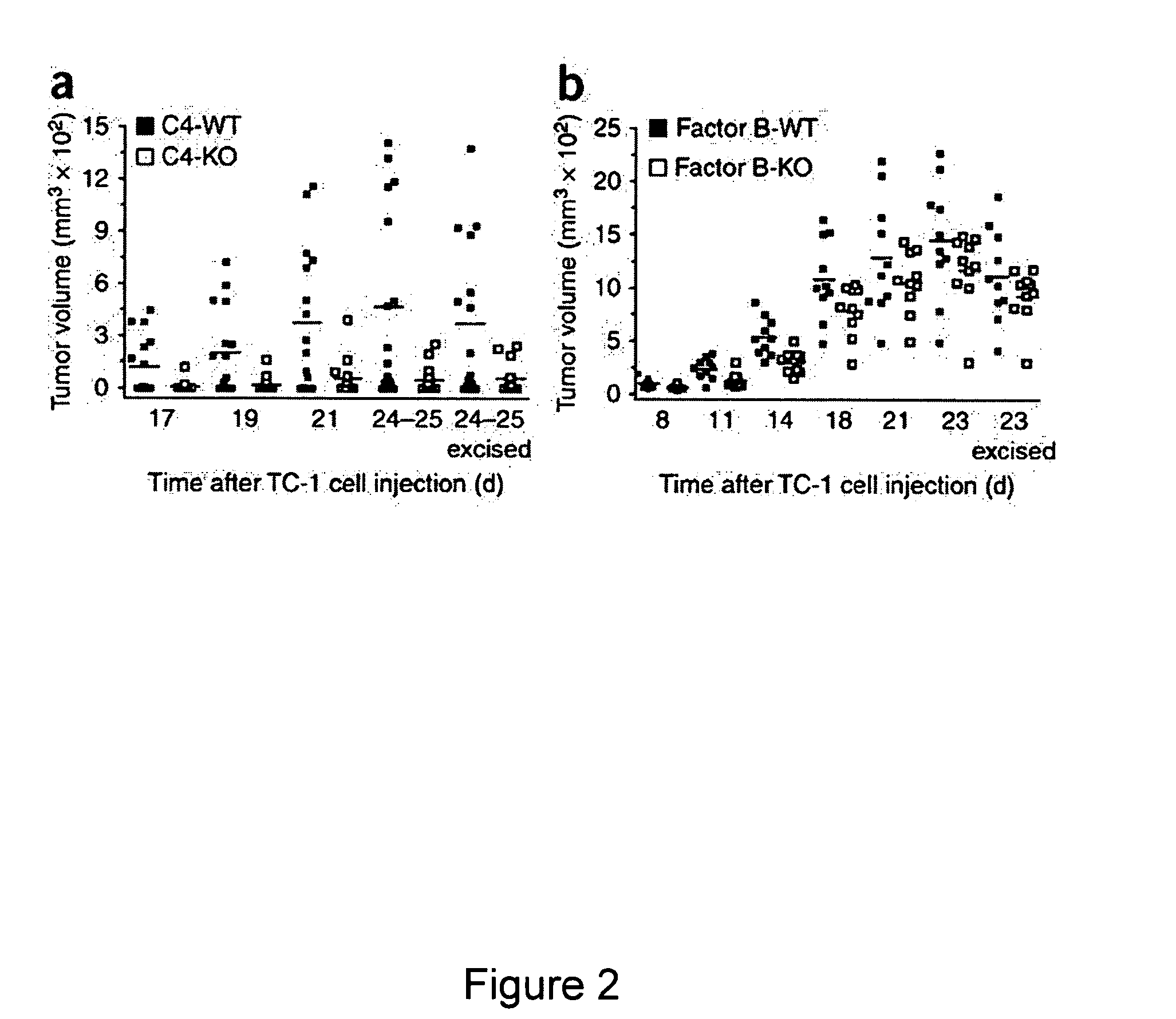 Complement inhibitors as therapeutic agents for treatment of cancer