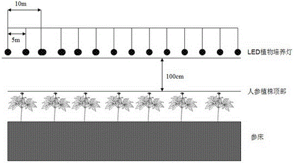 Cultivation method of greenhouse ginsengs in cold and cool areas