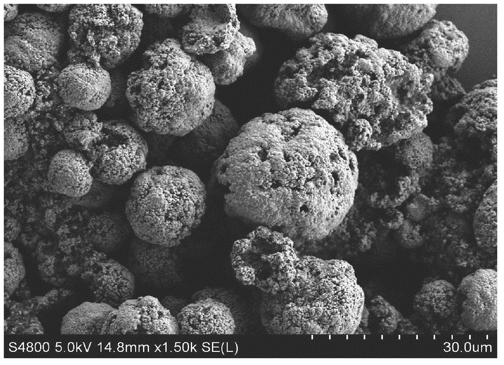 Preparation method for lithium iron phosphate material of positive electrode of lithium ion secondary battery