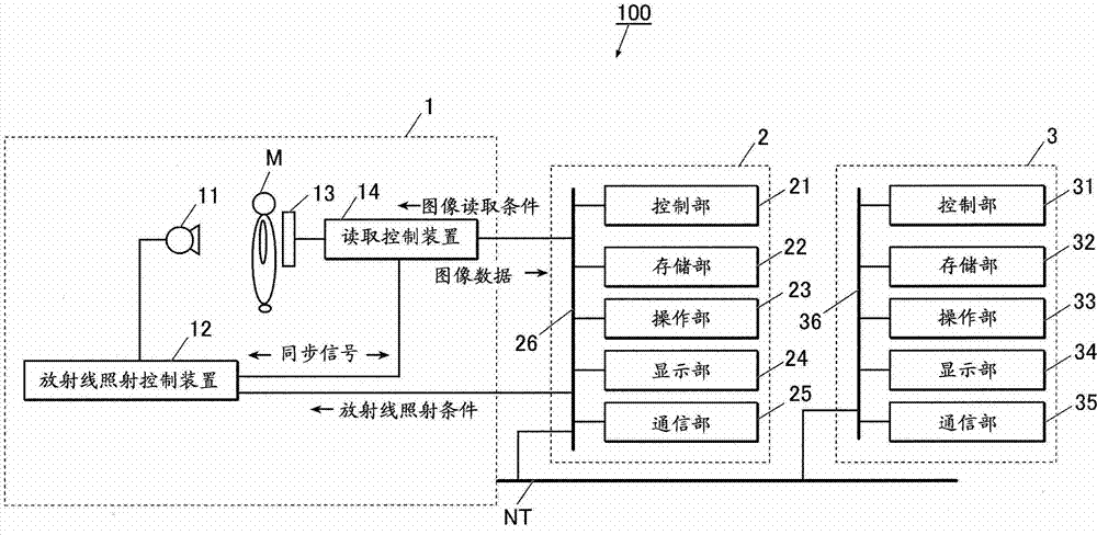 Thoracic diagnosis assistance information generation method, thoracic diagnosis assistance system, and dynamic state image processing apparatus