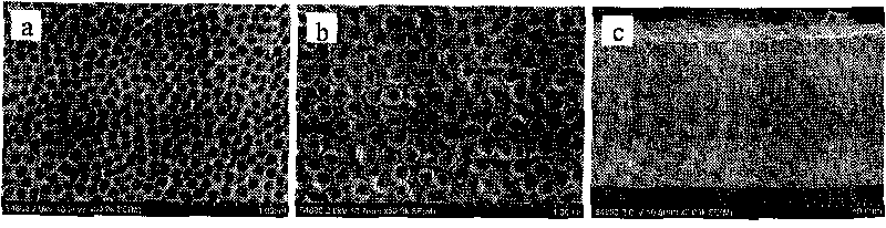 Method for preparing titanium dioxide nanotube membrane