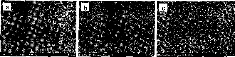 Method for preparing titanium dioxide nanotube membrane