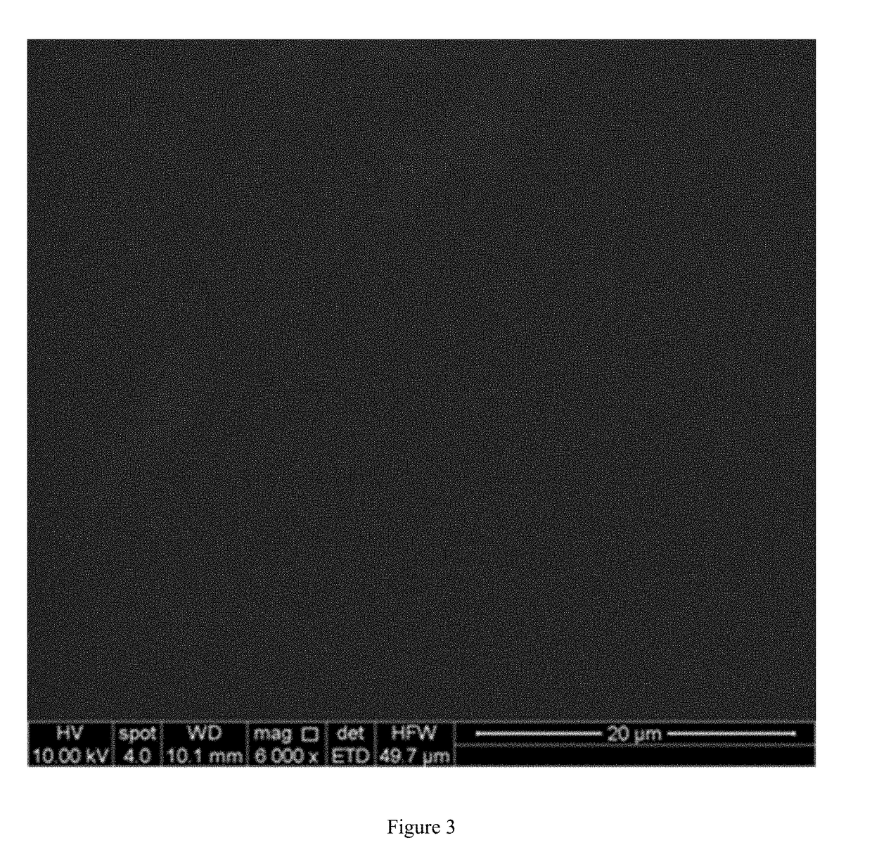 Aesculin sturgeon skin gelatin film with antioxidant activity and enterococcus faecalis detection ability and a method of preparing the same