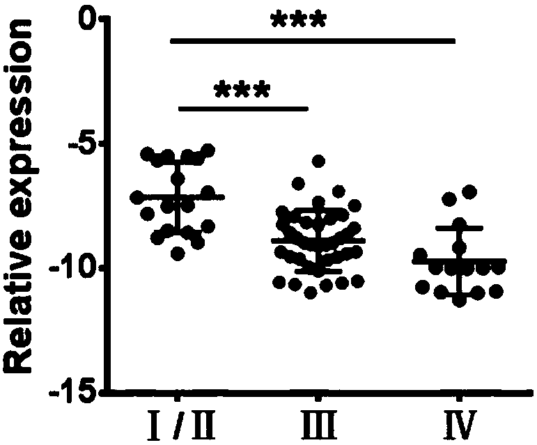 Application of lncRNA SGOL1-AS1 serving as marker for diagnosing stomach cancer