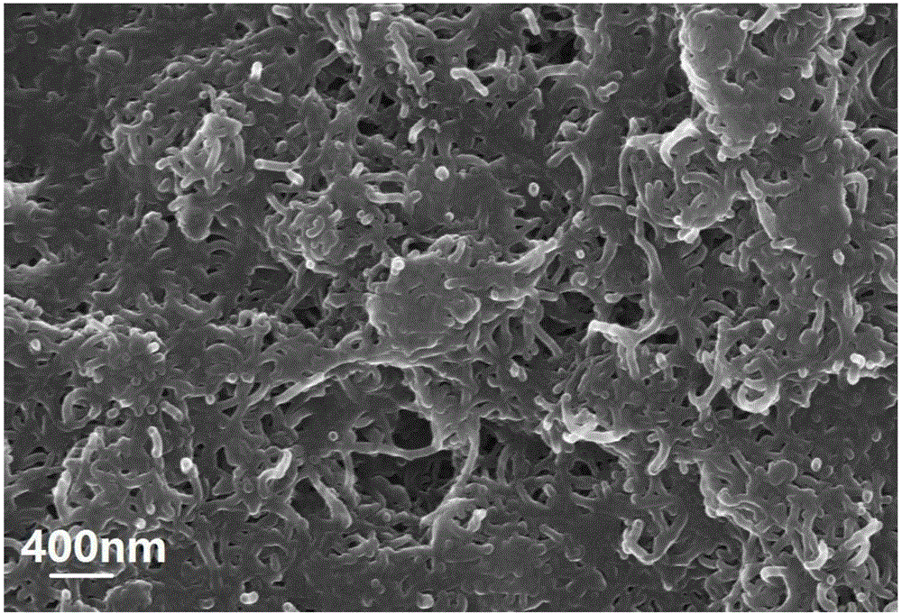 Auxiliary electrode film of lithium air battery as well as preparation and application method thereof