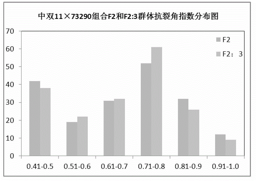 Molecular marker of pot shattering resistance trait major gene locus of rapes and application