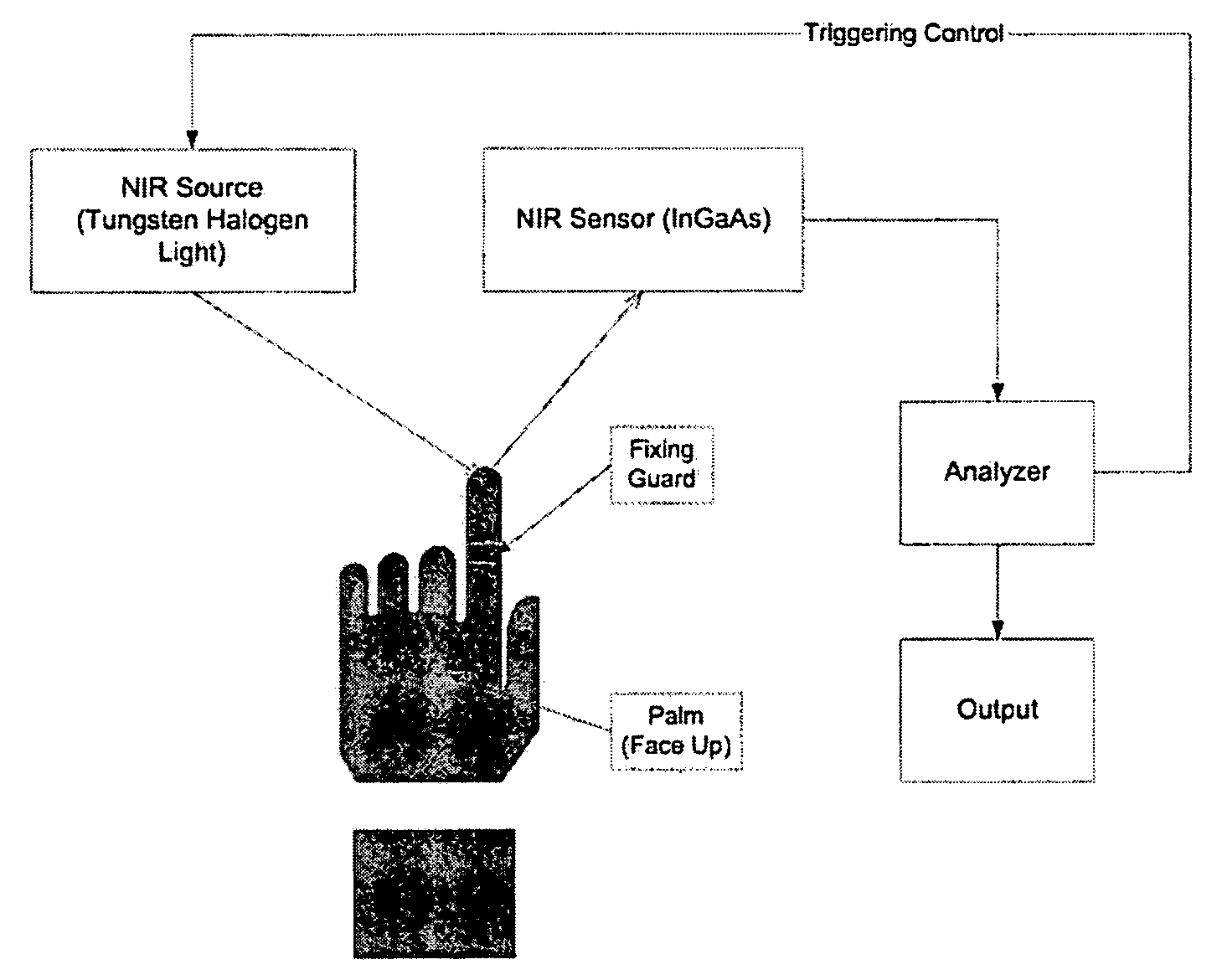 Method for predicting the blood glucose level of a person