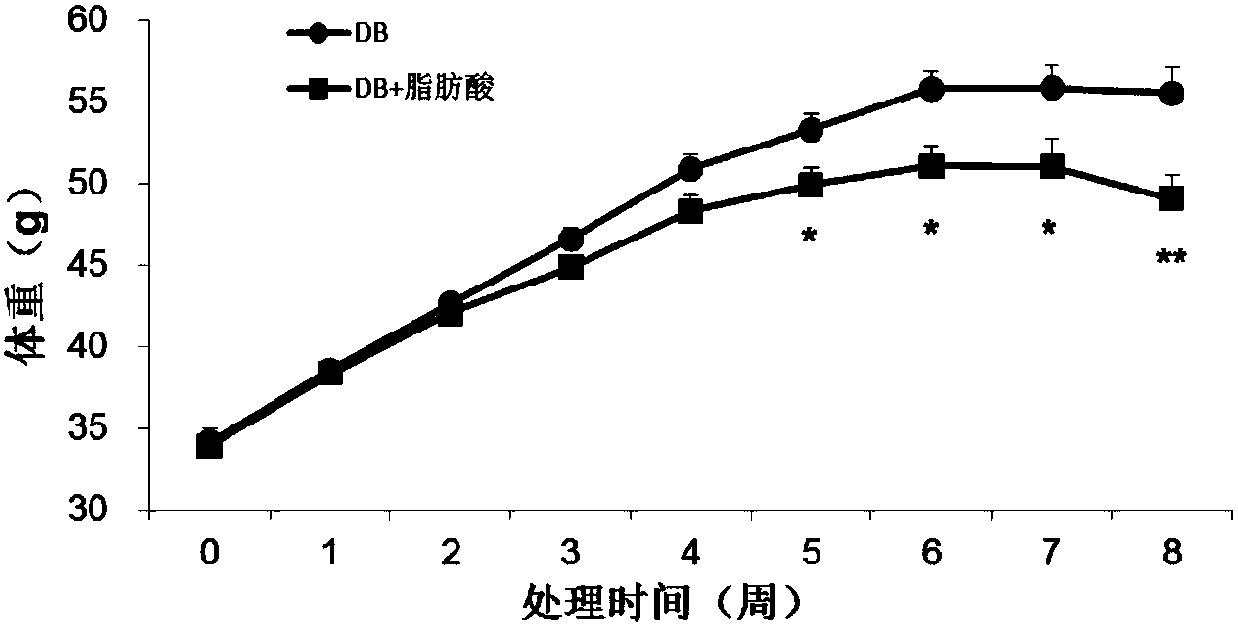 Application of methyl myristoleate in preparation of products for preventing or treating metabolic syndromes or improving body energy metabolism