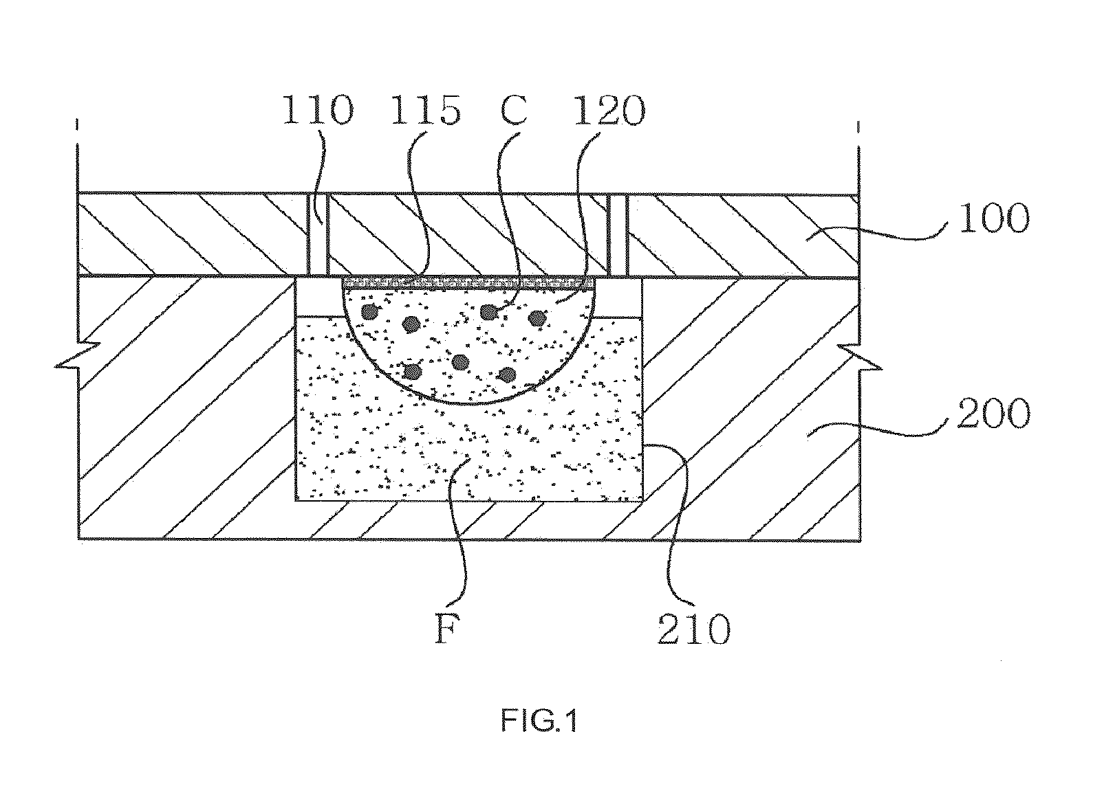 Microarray cell chip