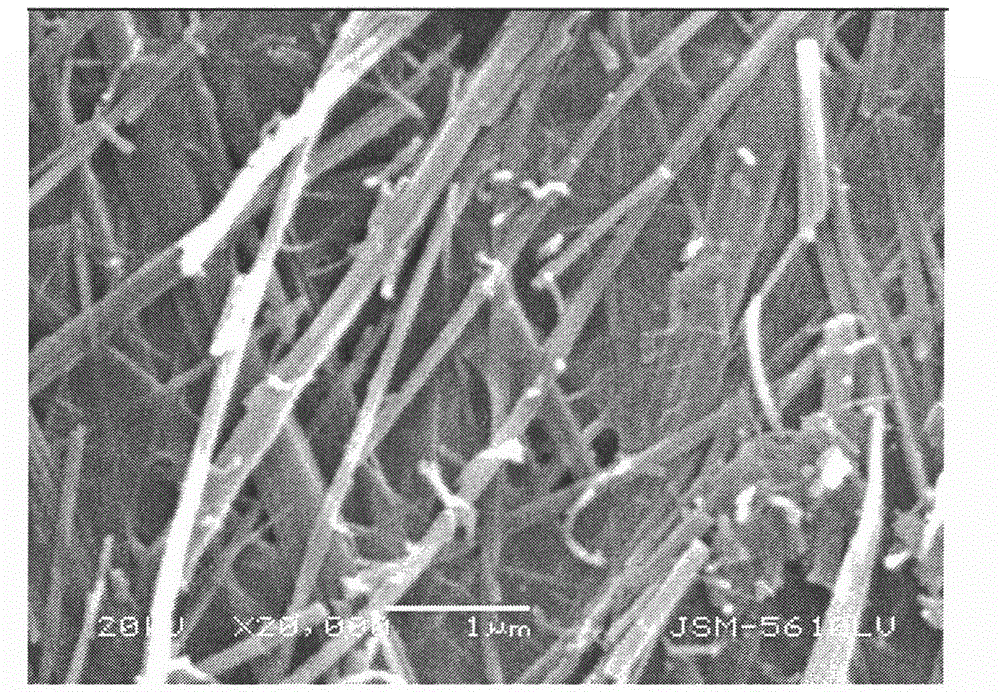 Preparation method of vanadium oxide/carbon nanometer tube composite materials with interpenetrating network structures