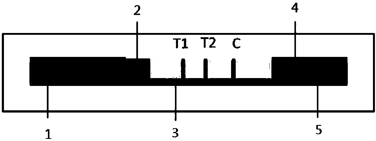 Test strip for simultaneously detecting influenza A and B viruses and preparation method