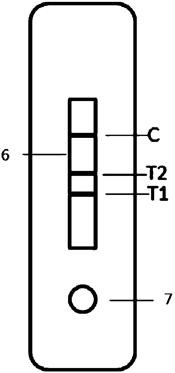 Test strip for simultaneously detecting influenza A and B viruses and preparation method